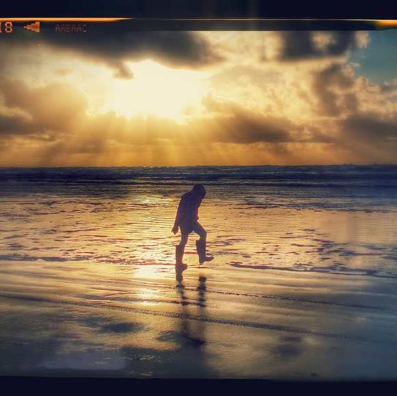 Meet your Posher, Sheree - Picture 6 of 12